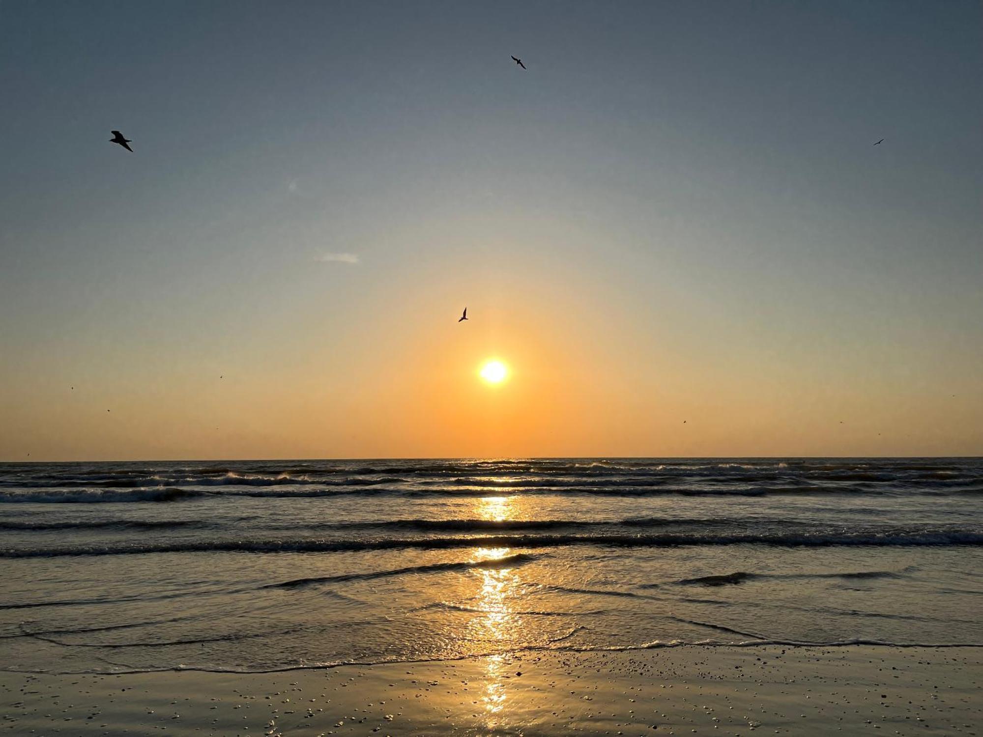 Excelsior Apartaments Mamaia Nord Navodari Luaran gambar