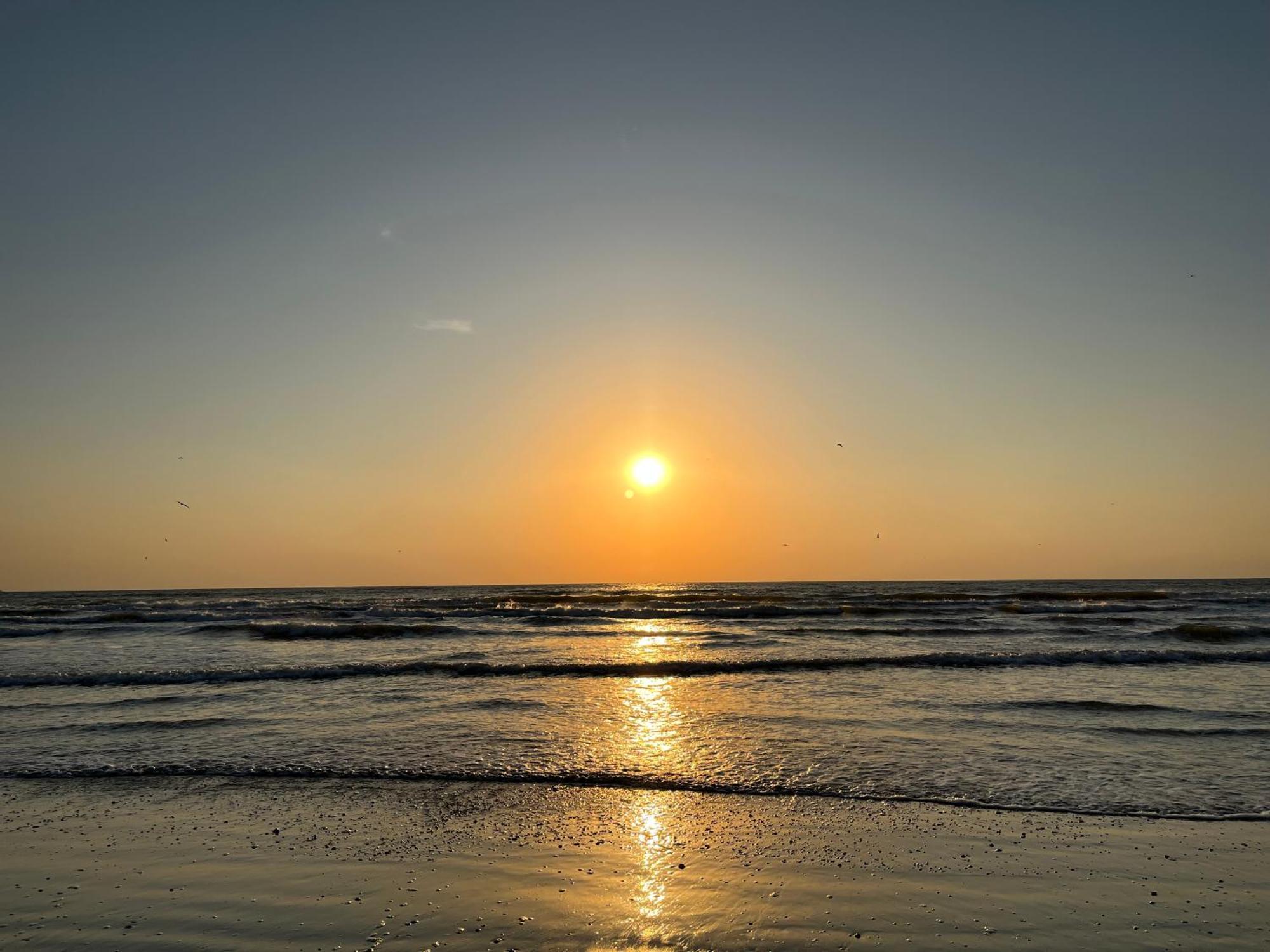 Excelsior Apartaments Mamaia Nord Navodari Luaran gambar